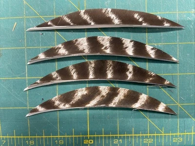 5" Left Wing Banana Natural Barred Feather Fletching, 25Pk Archery 🇺🇸 - Image 1 of 2