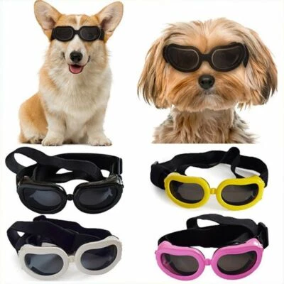 Protección para mascotas perritos pequeños gafas de sol para perros gafas para mascotas gafas de sol UV gafas para ojos Foto 1 de 4
