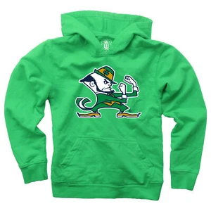 Wes and Willy Little Kids College Logo Hoodie Sizes 4-7 - Picture 1 of 4