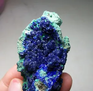 65 mm roseta azul azurita sobre malaquita verde liufengshan Anhui China 15-592 - Imagen 1 de 5