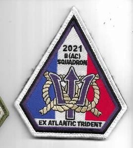 RAF PATCH 2 SQUADRON ATLANTIC TRIDENT 21 TYPHOON ROYAL AIR FORCE SQUADRON PATCH - Picture 1 of 1