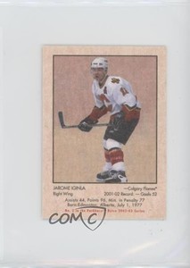 2002-03 ITG Parkhurst Retro Minis Jarome Iginla #2 HOF