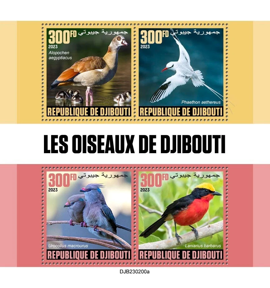 Estampillas Birds of Djibouti MNH 2023 Djibouti M/S Foto 1 de 1