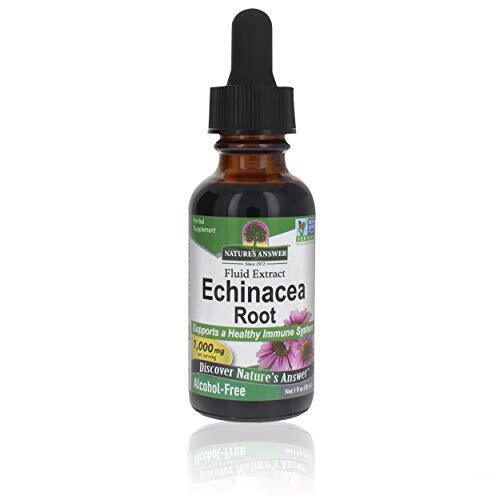 Nature's Answer Echinacea Alcohol Free Extract 1 Fluid Ounce 