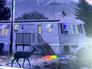 RAINBOW FOIL BILLY STRINGS POSTER Renewal Buena Vista CO N1 2024 AP Signed LTD25 - Picture 1 of 7