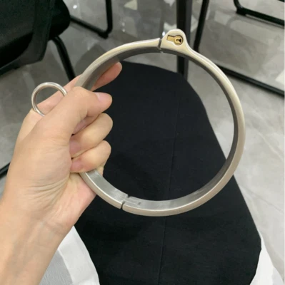 Heavy Duty Edelstahl Halskragen Bondage Sklave Choker Halsband Abschließbar BDSM - Bild 1 von 4