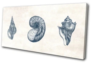 Sea Shells Nautical Bathroom SINGLE LONA pared arte Foto impresion - Imagen 1 de 1