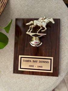 Vintage 1992-1993 Tampa Bay Downs Award Plaque -Nice Condition- 10” X 8” - Picture 1 of 5