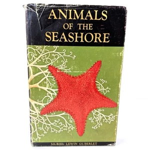 Animals of the Seashor Muriel Lewin Guberlet, 1962 Hardcover Revised & Enlarged - Bild 1 von 11
