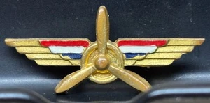 HTF WWII National School of Aeronautics NSA AAF Flight Training Pin Hickock - Picture 1 of 4