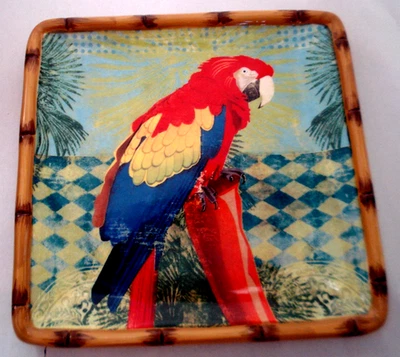 Cracker Barrel Macaw Parrot Square Plate NEW - Image 1 of 4