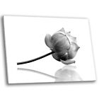 Framed Canvas Floral Modern Wall Art Picture Prints Lotus Flower Black White