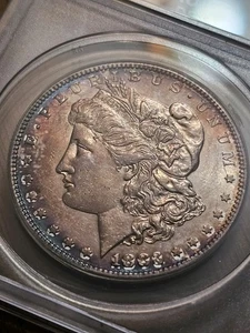 1883-S DOLLARO ARGENTO MORGAN ATTRAENTE BELLA DATA PIÙ DURA ANACS 53 Dettagli - Foto 1 di 5
