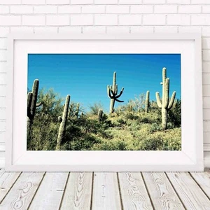 CACTUS - Cacti Plant Tree Picture Poster Print Sizes A5 to A0 **FREE DELIVERY** - Photo 1/14