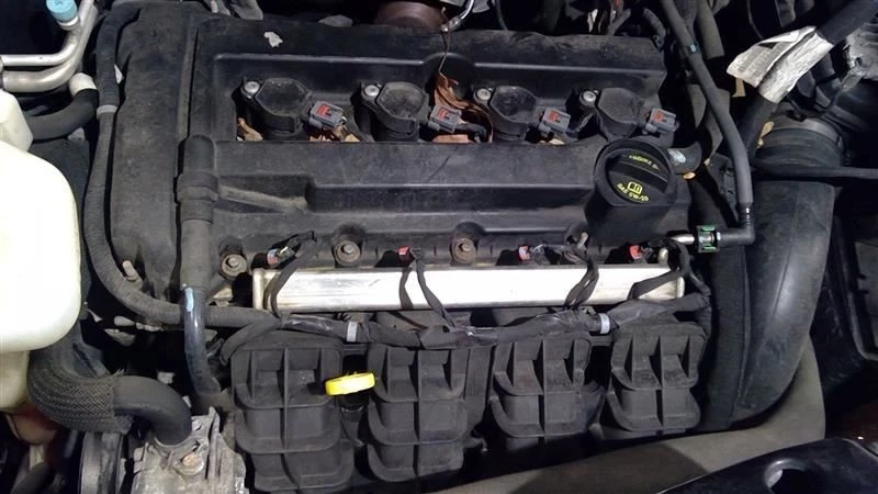 Manija de puerta trasera vertical estilo clásico motor usado 2,0 L se adapta a 11-17 COMPASS 10268 Foto 1 de 4