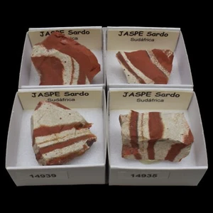 JASPE Sardo (Sudafrica) / Jasper "ver disponibles" - Picture 1 of 7