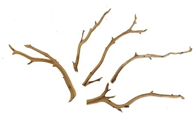 Aquarium Manzanita Branchy Driftwood 5 Piece Set WYSIWYG 11" - 14" long - Image 1 of 4