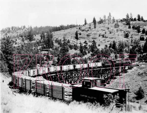 Sumpter Valley Railroad (SVR) Engine 250 with Caboose 5 at Adler Springs - 8x10 - Picture 1 of 1