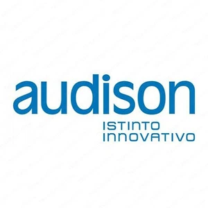 ADESIVO Logo Audison Prespaziato STICKER 13,7 x 5,2 cm Auto Moto Parabrezza A... - Foto 1 di 1
