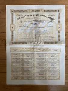 DIE MOLYNEUX MINEN KONSOLIDIERT (SÜDAFRIKA) 1895 (I1) - Bild 1 von 1