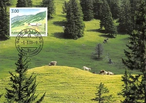 Maximumkarte FDC LIECHTENSTEIN Güschgle 2008 März MK 284 n1 - Bild 1 von 2