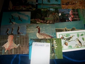 LOTE MIXTO DE 25 POSTALES~TODOS LOS ANIMALES-NO SON IGUALES - Imagen 1 de 2