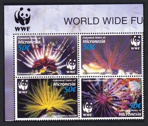 Micronesia WWF Feather Stars 4v Block of 4 WWF Logo 2005 MNH Sc#659 a-d - Picture 1 of 1
