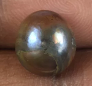 Natürliche runde Tahiti gräulich schwarze Südseeperle 5,75 ct Edelstein E3710 - Bild 1 von 9