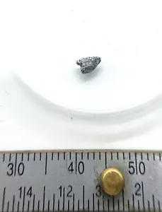Fragmento de eucrita meteorito Bouvante - 0,02 gramos - Francia - Imagen 1 de 5