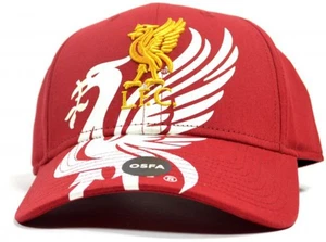 Liverpool FC OB Crest Cap - Picture 1 of 3