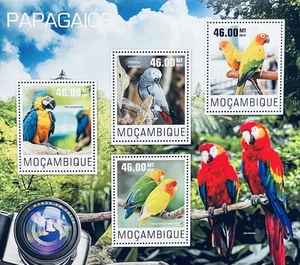 MOZAMBIQUE PARROTS STAMPS SHEET MNH 2014 BIRDS MACAW PARAKEET GREY PARROT BIRD - Picture 1 of 1