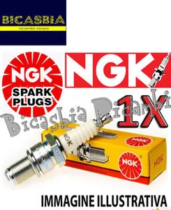 8896 - CANDELA NGK BR7HS CON RESISTENZA PER VESPA 50 - BICASBIA CERIGNOLA - Imagen 1 de 1