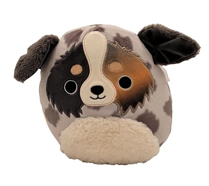 RAYLOR The Australian Shepherd - Squishmallow Plush 7 Inch - Nice and clean - Picture 1 of 7