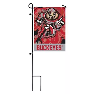 Evergreen Flagge, Universität, 18""x12,5"", Ohio State Current, Wildleder GDN Justin Patten - Bild 1 von 3