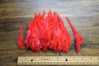 100 Loose 4-6" Dyed BRIGHT RUST RED Rooster Saddle Hackle Feathers