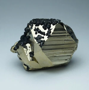 Pyrite with Sphalerite from Huanzala - Peru - Picture 1 of 3
