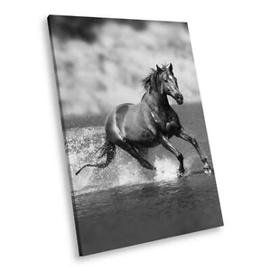 A733 Black White Animal Portrait Canvas Picture Print Large Wall Art Horse Water - Picture 1 of 7