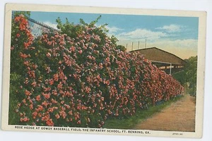 Rose Hedge, Gowdy BASEBALL Feld Infanterie Schule FT BENNING GA Vintage Postkarte - Bild 1 von 2