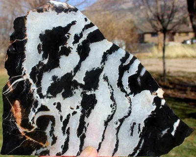 LOSA DE JASPE CEBRA BLANCO Y NEGRO DE LUJO 300 gramos ágata/roca/cabina/mineral/espécimen Foto 1 de 2