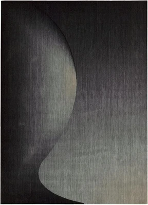 Tapete de área retangular ônix artes radiantes Nourison 2'3" x 4' - Imagem 1 de 4