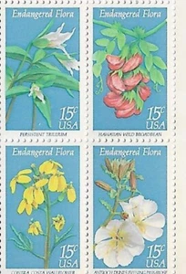 US Endangered Flora 15c Stamp Block of 4 Scott #1783-1786 - Picture 1 of 1
