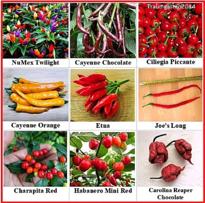 Peperoncino set 9 varietà piccanti semi. Semi solidi ad esempio Carolina Reaper. - Immagine 1 di 4