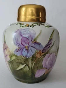 Antiguo tarro vintage de jengibre de porcelana de iris pintado a mano de 7"t × 5,5" w - Imagen 1 de 23