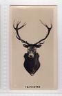 Wills Beautiful NZ Photographic card #12 16-Pointer Red Deer