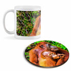 Mug & Round Coaster Set - Orangutan in Jungle Indonesia #3540