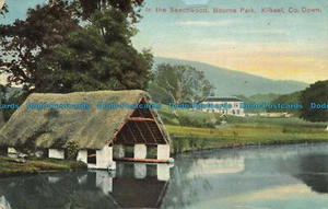 R640999 Co. Down. Kilkeel. Mourne Park. In the Beechwood. E. and S. Signal Serie - Picture 1 of 2