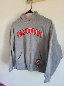 Wisconsin Badgers Gray Hoodie Pullover Embroidered Logo Youth LRG - Picture 1 of 9