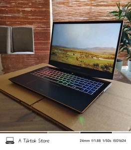 15.6'' THUNDEROBOT TR 911 PRO i7-10875H 16g RAM 512g NVMe RTX2070 FHD Win11 RGB - Picture 1 of 15
