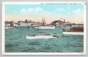 Postcard Caloosahatchee River Front Fort Myers Florida Steam Ships - Picture 1 of 2