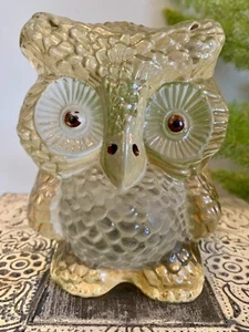 Viking Heavy Glass Owl Paperweight or Bookend with label 5.5 x 4.5 Rare color - Foto 1 di 3